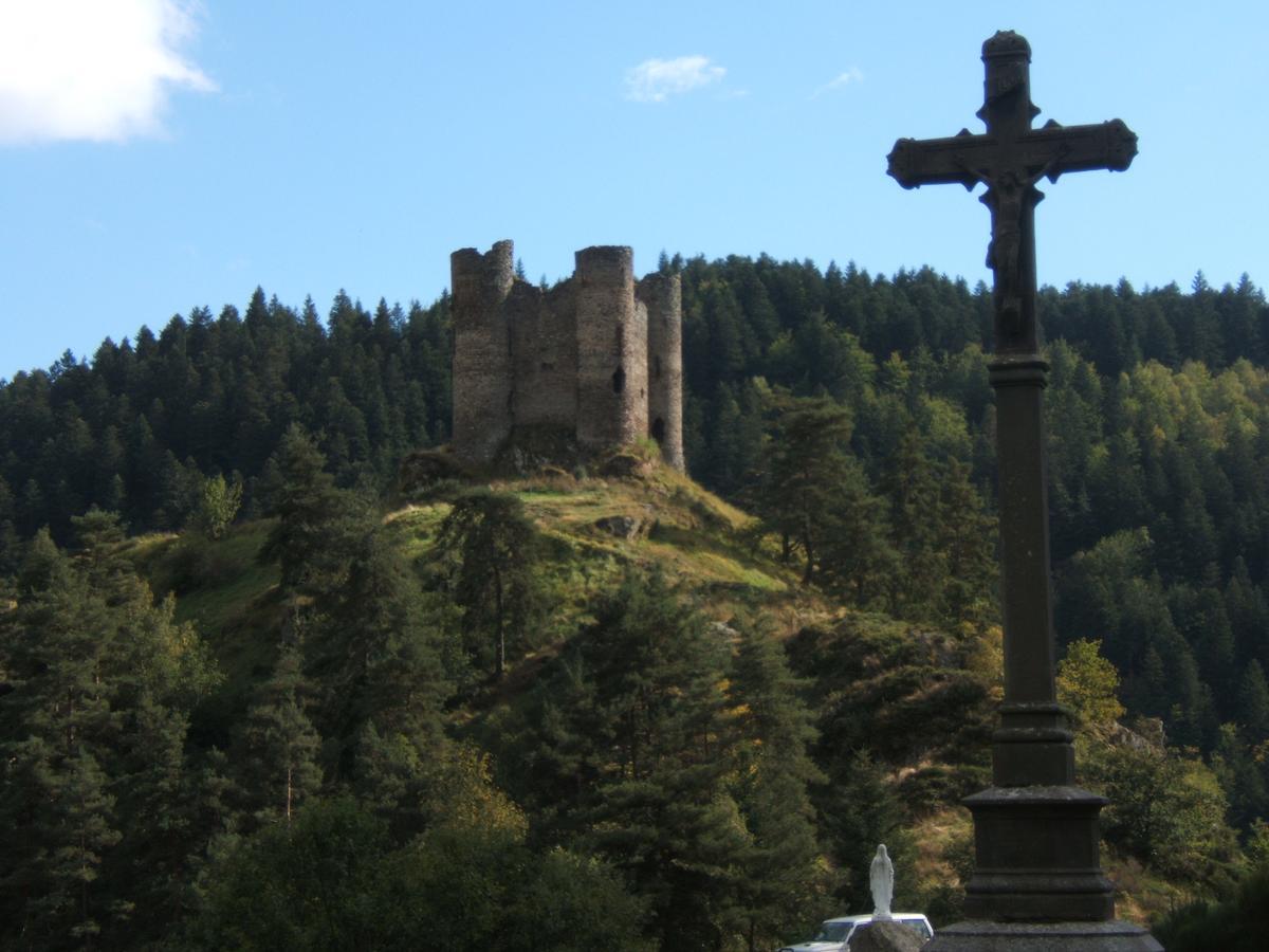 مبيت وإفطار Lavastrie Le Grand Val المظهر الخارجي الصورة
