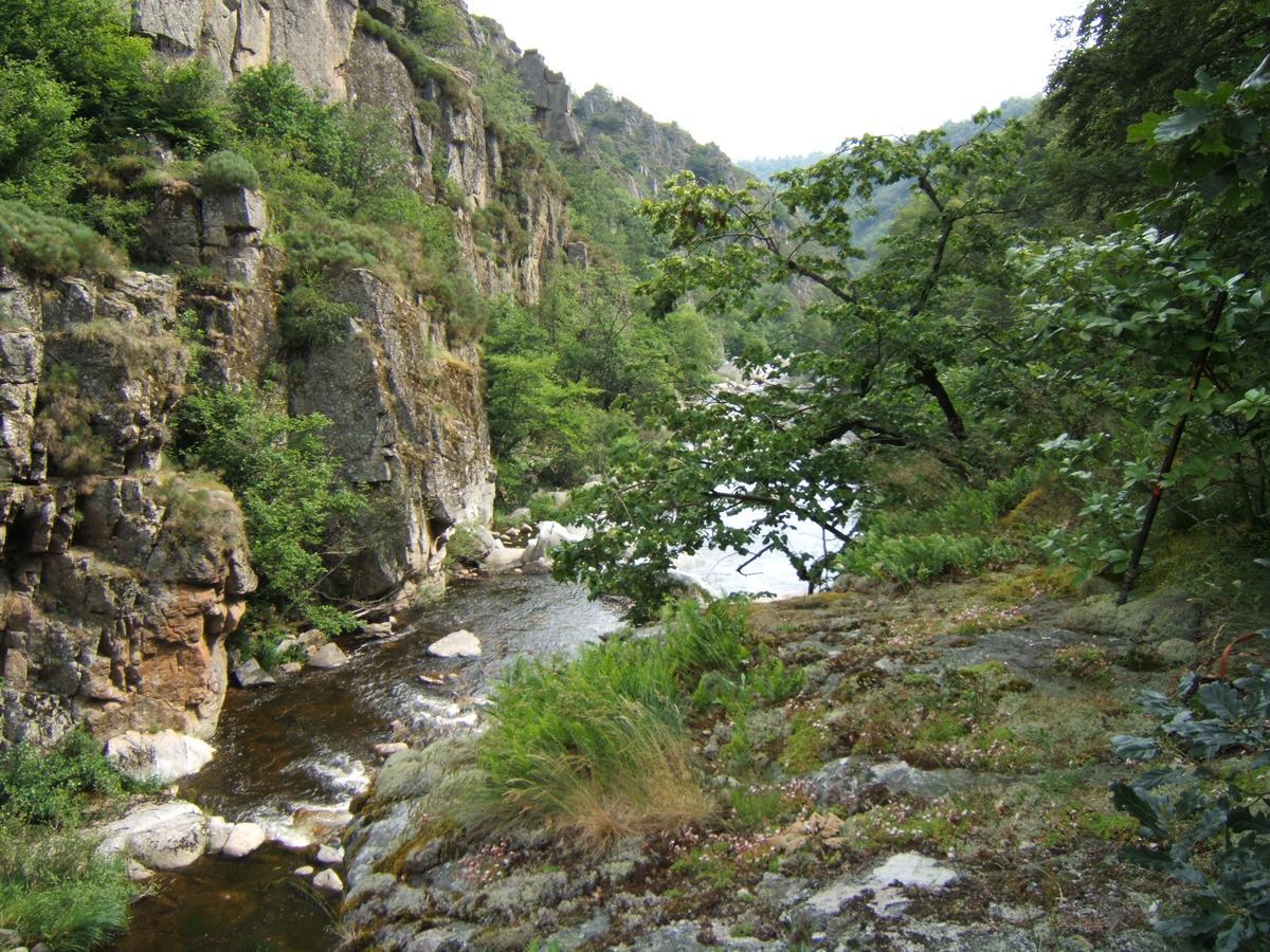 مبيت وإفطار Lavastrie Le Grand Val المظهر الخارجي الصورة